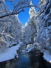 Verschneite Winterlandschaft in ruhiger Natur