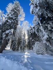 Verschneite Winterlandschaft in ruhiger Natur