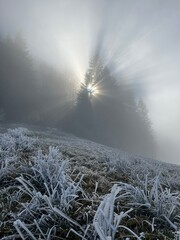 Verschneite Winterlandschaft in ruhiger Natur