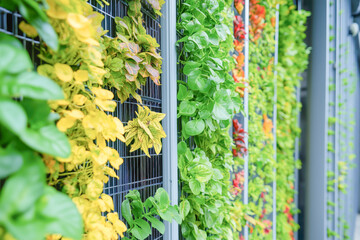 Obraz premium A vertical solar panel installation doubling as a fence, showcasing innovative and cost-effective renewable energy production for sustainable living.