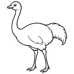 ostrich line art vector
