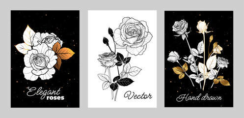 A4 vector roses illustrations in black, white and golden. Luxurious invitations or card designs. Elegant high quality print illustrations. © Muza