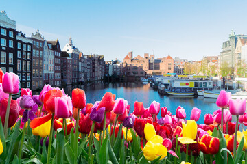 Facades of old historic Houses and trees over canal water, Amsterdam, Netherlands