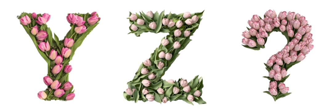 Y, Z AND ? . Tulips alphabet. Initials with floral elements.Floral letter design. Composition for card,greetings, invitation, save the date, logo, business. Transparent background PNG. 
