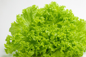 Fototapeta premium Close up of bunch of lettuce. Leaf of lettuce with white background. A salad with greens and a white background. A salad with greens, leaf lettuce and a white background lifestyle.