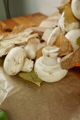 Champignon mushrooms on autumn leaves