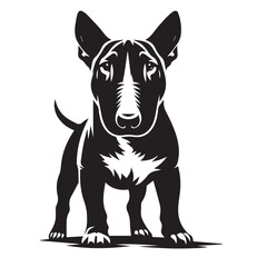 Bull Terrier standing silhouette vectors, High-Quality Vector Black Silhouettes of Bull Terrier Dog in Standing, Side Profile, and Front Profile Positions - Perfect for Graphic Design and projects