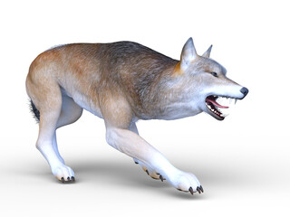 オオカミ　3DCGレンダリング