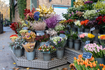 London, UK - December 4, 2024, Flower stall with a variety of flowers – roses, skimmias, hydrangeas, eucalyptus branches, hellebores, and others.