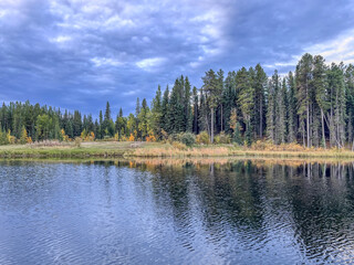 Fototapeta premium Evergreen Forest by Calm Lake on Cloudy Day