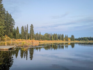 Forested Lakeside with Calm Reflection