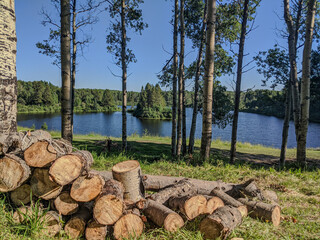 Woodpile with Scenic Lakeside View