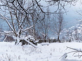 Tree covered with white snow, wooden fence. Winter Carpathian Mountains view scenic landscape.