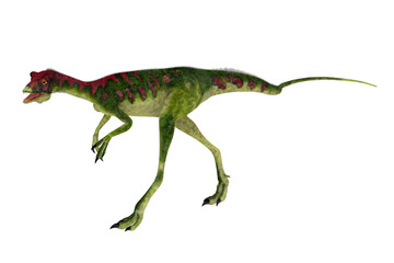 Compsognathus Dinosaur Walking - Compsognathus was a small carnivorous theropod dinosaur that lived during the Jurassic Period of Europe.
