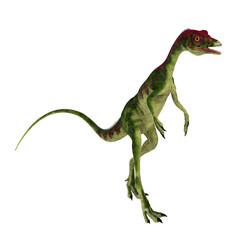 Compsognathus Walking Upright - Compsognathus was a small carnivorous theropod dinosaur that lived during the Jurassic Period of Europe.