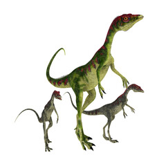 Compsognathus Dinosaur with Young - Compsognathus was a small carnivorous theropod dinosaur that lived during the Jurassic Period of Europe.