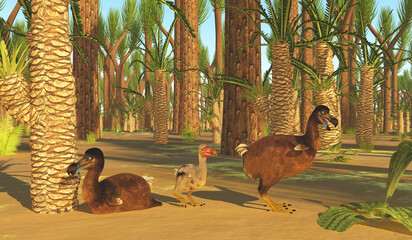 Eocene Dodo Family - A family of Dodo birds rest among a forest of Sigillaria and Williamsonia gigas trees. © Catmando