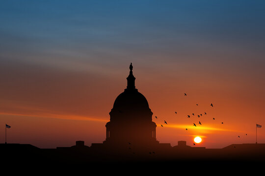 The United States Capitol building silhouette on background of sky at sunset with flying birds in Washington DC, USA
