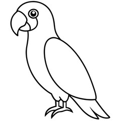 parrot line art vector illustration