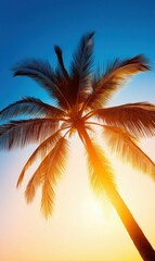 Palm Tree Silhouette Against Vibrant Sunset Sky
