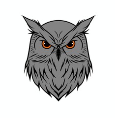 owl on white background