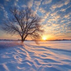Country sunset in winter