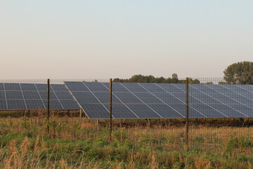a group solar panels in a solar park at a terrain in the countryside 