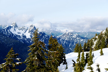 Top of the mountains covered with snow and pine trees - dream view