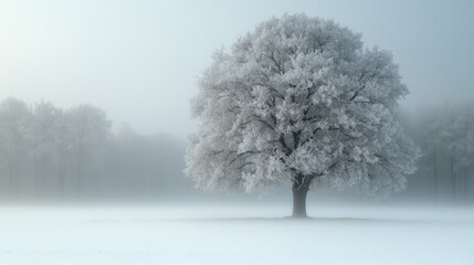 A solitary tree stands tall in a snowy field, surrounded by winter scenery