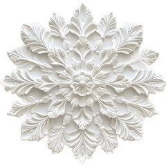Elegant White Relief Medallion with Intricate Floral Design