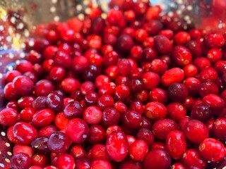 A stainless steel colander full of many vibrant red fresh cranberries, ready to be cooked for holiday meals.