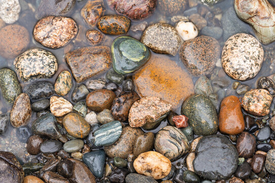 Colorful Rocks Along the Bank of a Stream in Colorado