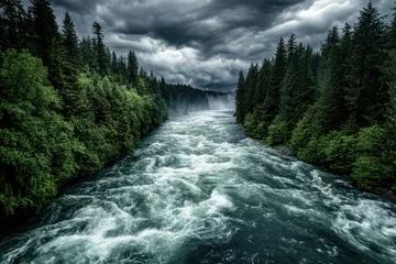 Fleecedeken met foto Raging river bordered by dense forest, with storm clouds and rain adding drama to the roaring current. © eye-catching
