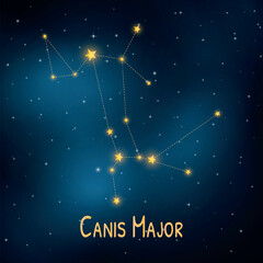 Canis major constellation in starry night sky: celestial map with bright stars. © Kepler