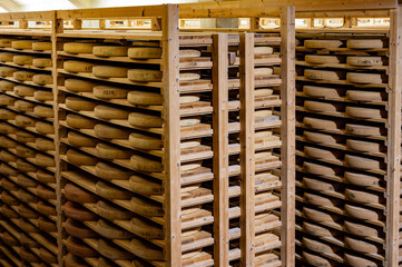 Aging rooms with shelves in cheese caves, central location for aging of wheels, rounds of Comte cheese from four months to several years made from raw cow milk, Jura, France
