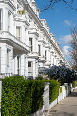 Notting Hill, walking on streets with white houses and flowering gardens in spring, city life, wealthy neighbourhoods in London, UK