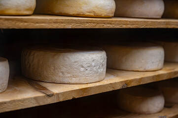 Farmer shop in Biarritz, France, Basque Country and Pyrenees sheep, cow and goat cheeses for sale, Tomme, Fermier Brebis, farmers cheese