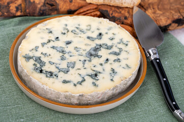 Cheese collection, piece of French blue cheese auvergne or fourme d'ambert