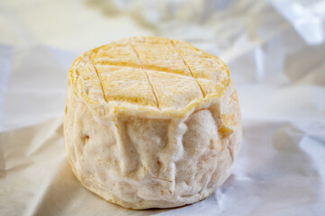 Cheese collection, soft goat French cheese with mold crottin de Chavignol produced near Sancerre on cheese farm, Loire Valley close up