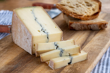 Cheese collection, French Morbier semi-soft cow milk cheese with black mold layer close up