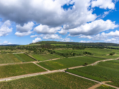 Vineyards around Puligny-Montrachet village, Burgundy, France. High quality white dry wine making from Chardonnay grapes on grand cru classe vineyards