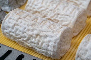 French organic matured white goat cheese buche de brebis with white mold close up
