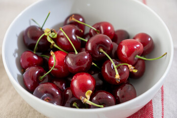 New harvest of fresh ripe dark red cherry berry in Provence, France close up