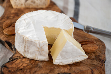 French soft Camembert cheese, original Camembert de Normandie made from raw cow milk