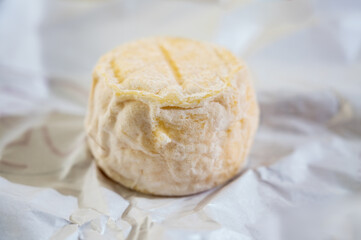 Cheese collection, soft goat French cheese with mold crottin de Chavignol produced near Sancerre on cheese farm, Loire Valley close up