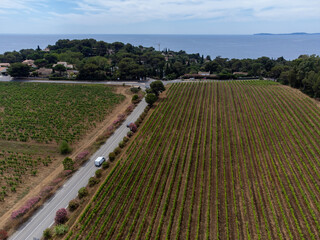 Aerial view on hills, houses and green vineyards Cotes de Provence, production of rose wine near Saint-Tropez and Pampelonne beach, Var, France in summer