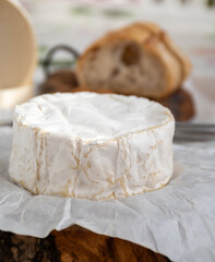 French soft Camembert cheese, original Camembert de Normandie made from raw cow milk