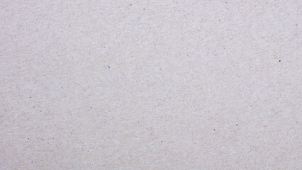 Watercolor paper texture. Paper texture for use as a background