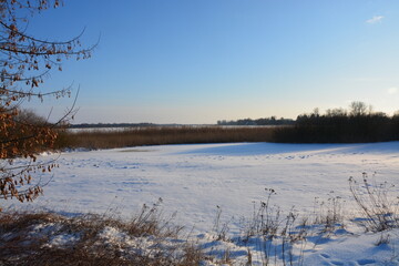 Wiese und Schilf am Seeufer im Winter