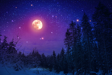 Winter forest with full moon and stars sky .